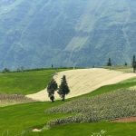 Triangle Flower season- Very beautiful&hellip;