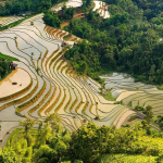 Vietnam in April: Weather, Best&hellip;