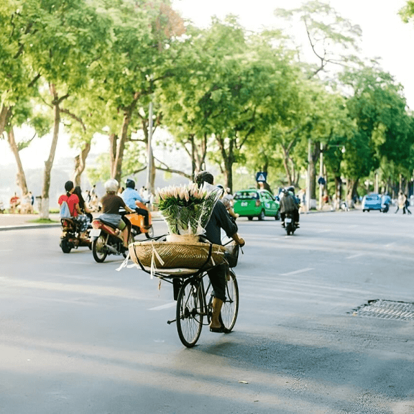 Hanoi in November: Weather, Packing Tips & Festivals