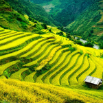 Sapa in July: Weather, Best&hellip;