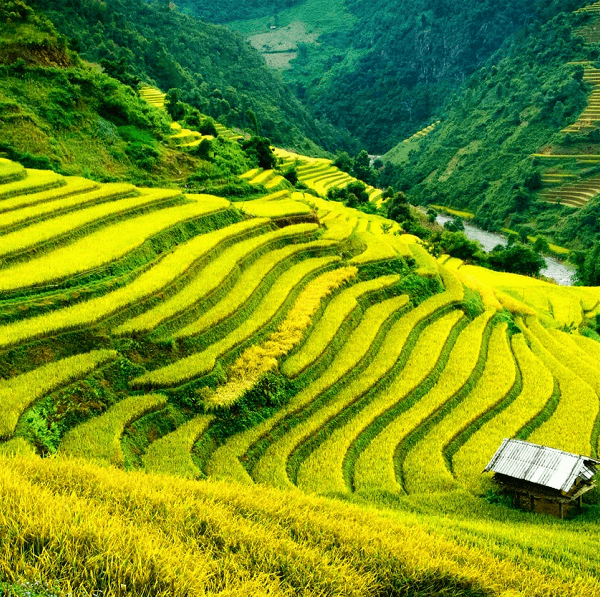 Sapa in July: Weather, Best Experiences &&hellip;