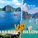 Ha Long bay Cruise vs Lan&hellip;