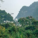 Ninh Binh in December: Weather, Scenery&hellip;