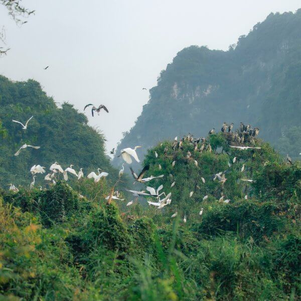 Ninh Binh in December: Weather, Scenery & Travel&hellip;