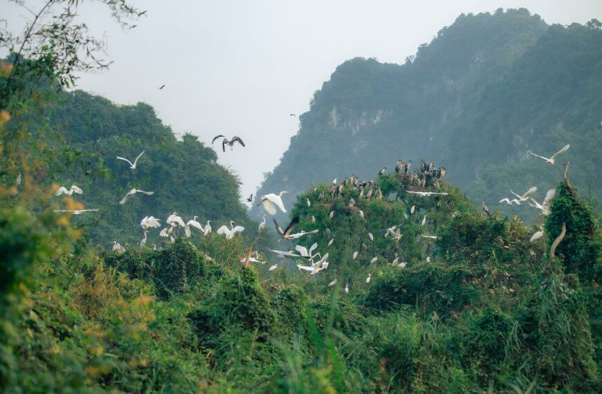 Ninh Binh in December: Weather,&hellip;