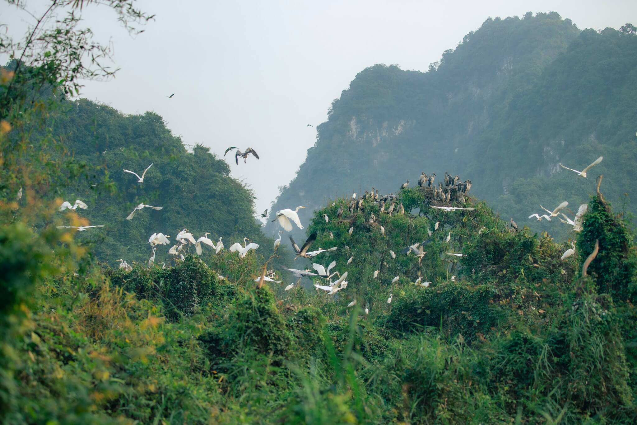 Ninh Binh in December: Weather, Scenery & Travel Tips