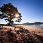 Da Lat in November: Misty Mornings,&hellip;