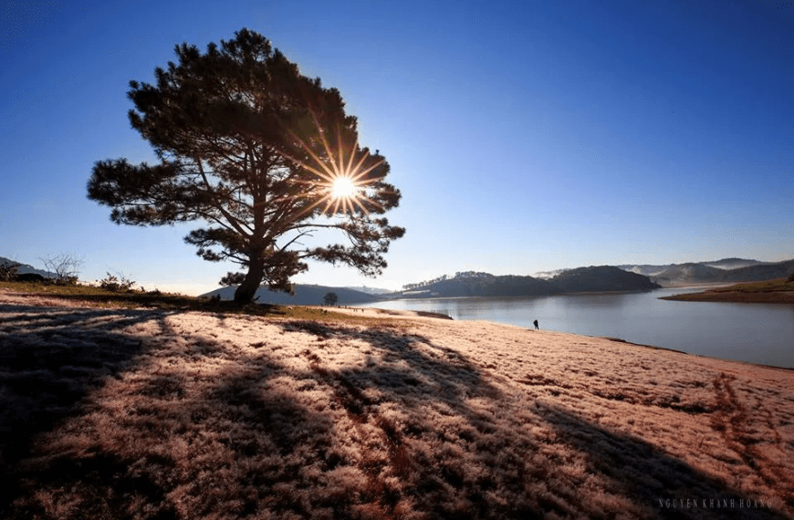 Da Lat in November: Misty…