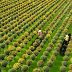 Mekong Delta in November: Floating Markets,&hellip;