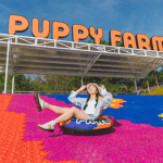 Da Lat in January: Cool Climate,&hellip;