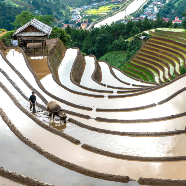 Sapa in March: Spring Weather, Mountain Scenery, and&hellip;