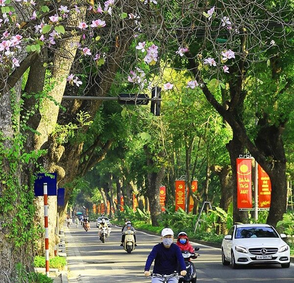 Hanoi in July: Weather, Conditions, and Essential&hellip;