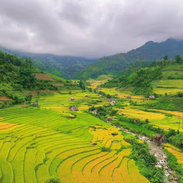 Sapa in August: Peak Rice Terraces, Rainy-Season Beauty,&hellip;