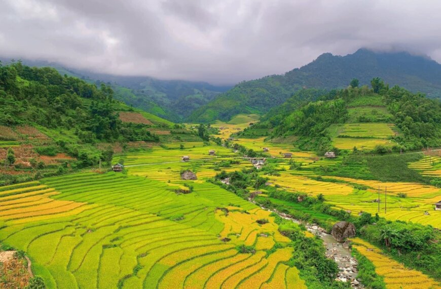 Sapa in August: Peak Rice Terraces, Rainy-Season&hellip;
