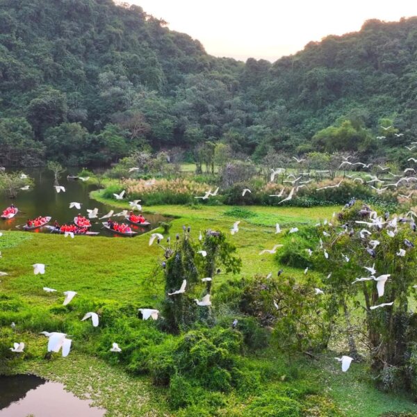 Ninh Binh in May: Weather, Landscape, and Seasonal&hellip;